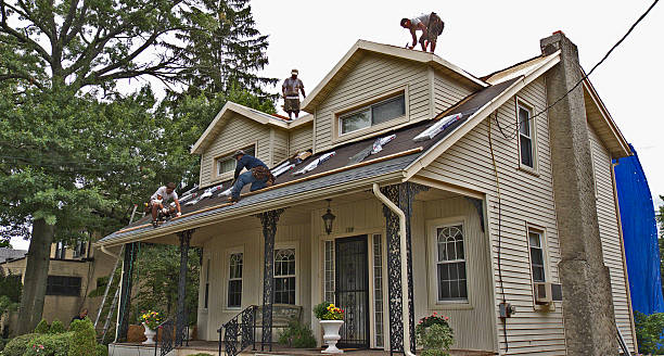 Best Roof Gutter Cleaning  in Fairview, NJ